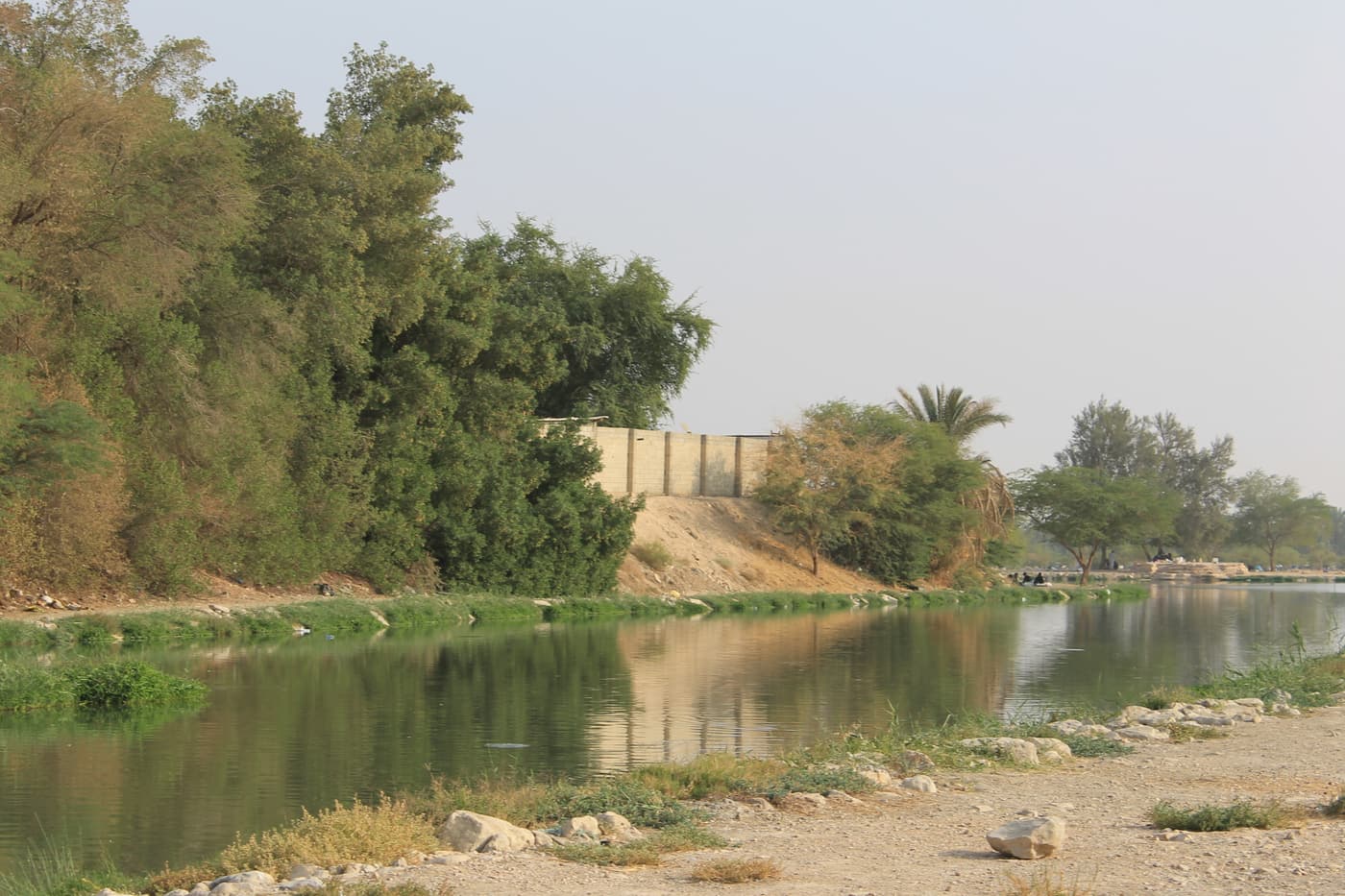 Water and trees along the restored channel of Wadi Hanifah